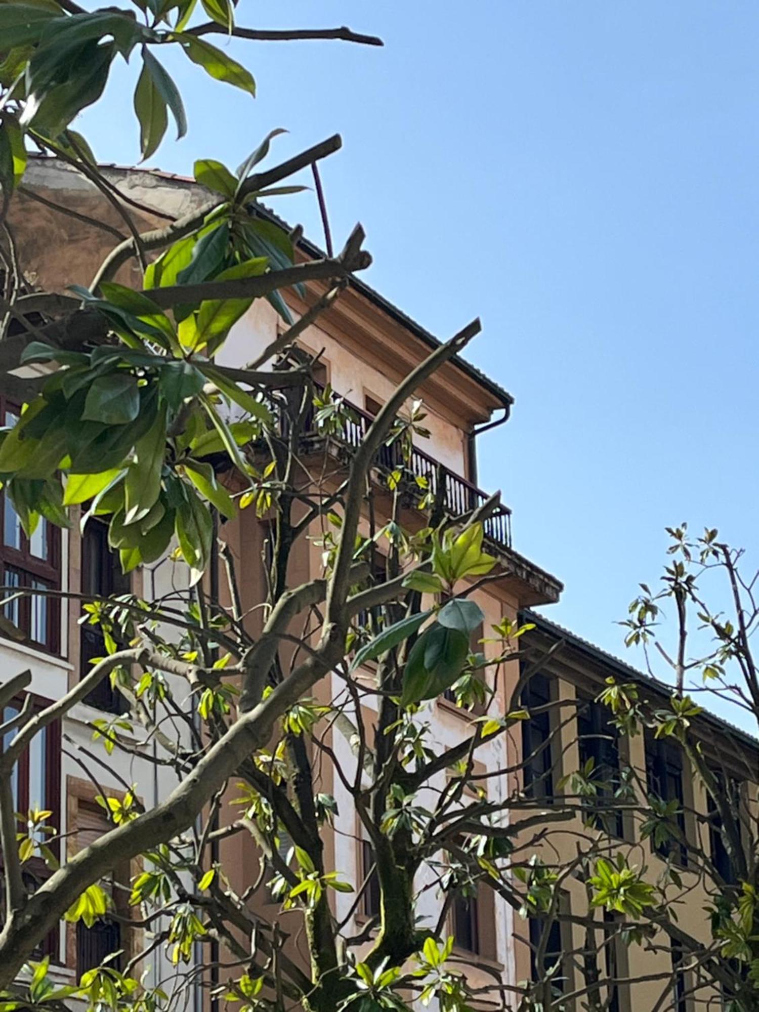 Apartamento Salsipuedes-La Catedral Oviedo Exteriér fotografie